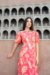 PINA PICANTE DRESS